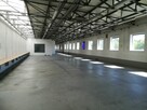 Wynajmę halę usługowo-produkcyjną 2125,9m2 Słupia pod Bralin - 6