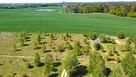 Działka budowlana Ostrowin gm. Ostróda - 13
