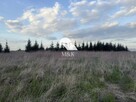Działka budowlana w Wolicy gmina Nadarzyn - 2