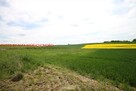 Działka budowlana Panków gm. Świdnica - 3