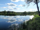 Działka 34.4977ha,m.Bobolice,las,oczko wodne,dr . - 15