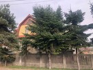 Willa na sprzedaż - 2