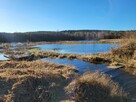 Camping Nielbark - jezioro, las, kajaki - 3