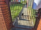 przepiękny dom na malowniczej działce - 9