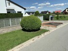 Koszenie trawy, przycinanie żywopłotów, wycinka drzew - 7