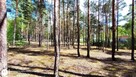 Działka budowlana 1270m Wołomin ok Sasina Lwowska - 2