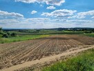 Działka budowlana o powierzchni 2513 m2 w Biórkówie Małym - 3