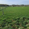 Na sprzedaż działka budowlana z warunkami zabudowy Eufeminów - 4