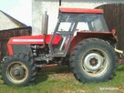 CIĄGNIK URSUS 1014 - 1