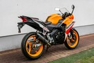 Honda CBR 125 2015 JC50 Raty Transport Największy Wybór Moto 125 MOTOSTAR - 4