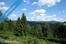 Brenna 2,53ha inwestycyjna pod pensjonaty domki letniskowe - 13