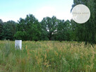 Działka budowlana Wiktorów gm. Leszno, Rybno - 5