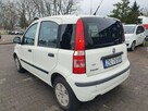 Fiat Panda - 4