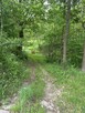 Dom Rożnów gm. Gródek nad Dunajcem - 2