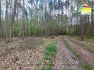 Działka budowlana Olszanka gm. Puszcza Mariańska - 4