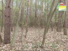 Działka budowlana Olszanka gm. Puszcza Mariańska - 5