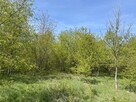 Działka budowlana Krępsko Gm.Goleniów - 14