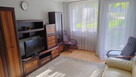 2 pokoje w świetnej cenie-zwierzęta mile widziane - 1