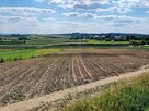 Działka budowlana o powierzchni 2513 m2 w Biórkówie Małym - 6