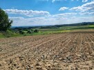 Działka budowlana o powierzchni 2513 m2 w Biórkówie Małym - 5