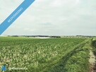 Działka z WZ na 6 domów dwulokalowych dla dewelopera - 4