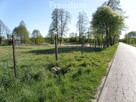 Ogrodzona działka 1150m2 - Zarośle Cienkie - 6
