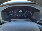 Ford Transit - 9
