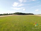 Działka rolna, pod uprawy lub inwestycję - 7