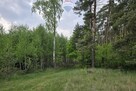 Tuż przy lesie, budowlana, duża, kształtna, MPZP - 12