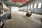 Lokal użytkowy Słupia (Konecka) - 12