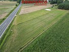 Działka Jędrzejów Wolica - 4