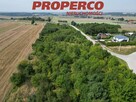 Działka Jędrzejów Potok Mały - 2