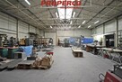 Lokal użytkowy Nowiny gm. Sitkówka-Nowiny - 6