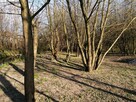 Idealna działka budowlana z WZ,15 AR, Media, Skołoszów - 3