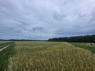 Niezabudowana nieruchomość rolna - łączna pow. 5,07ha - 11