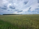 Niezabudowana nieruchomość rolna - łączna pow. 5,07ha - 13
