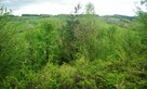 85,45 ar. działka rolna zalesiona, 5 km. od brzegu Jeziora S - 2