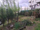 Zatrudnię osobę do prac w ogrodzie 70m2 - 5