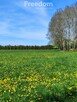 Działka budowlana w Dobrzyniówce - 5