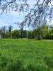 Działka budowlana w Dobrzyniówce - 6