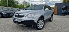 Opel Antara Jeden Właściciel Bezwypadkowy - 2