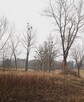 Działka 2000 m2 k Mrągowa, własny pomost, jezioro - 16