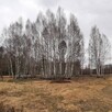 Działka Budowlana Przepiękna Cicha ok. Daleszyc - 1