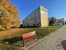 ​ATRAKCYJNA CENA TYLKO 4922 zł/m2-MIESZKANIE NA SPRZEDAŻ 2 POKOJE IVp JANIKOWO - 16