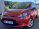 Ford Fiesta - 1