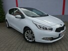 Kia Cee'd 1,4i Navi Alu Klimatronik Panorama 1.Właściciel Kam.Cof. VIP Gwarancja - 4