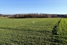 Działka budowlana Dębno - 12