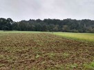 Działka budowlana Łapanów - 3