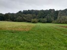 Działka budowlana Łapanów - 4