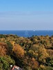 Budynek wolnostojący z widokiem na Zatokę – Gdynia Redłowo - 15